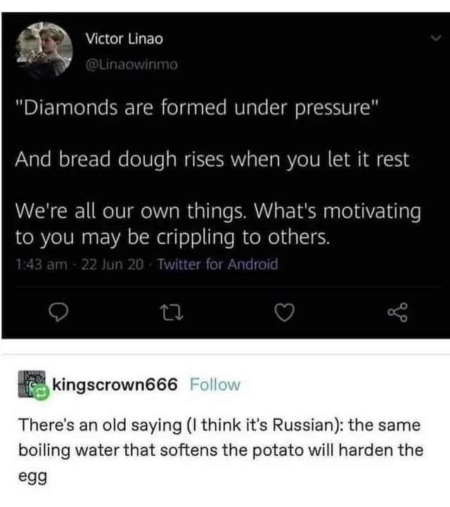 A wholesome meme tweet that contrasts "diamonds are formed under pressure" with "bread dough rises when you let it rest."