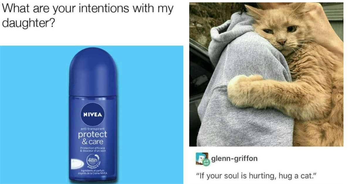 A collection of the internet's best wholesome meme posts to bring you joy and positivity.