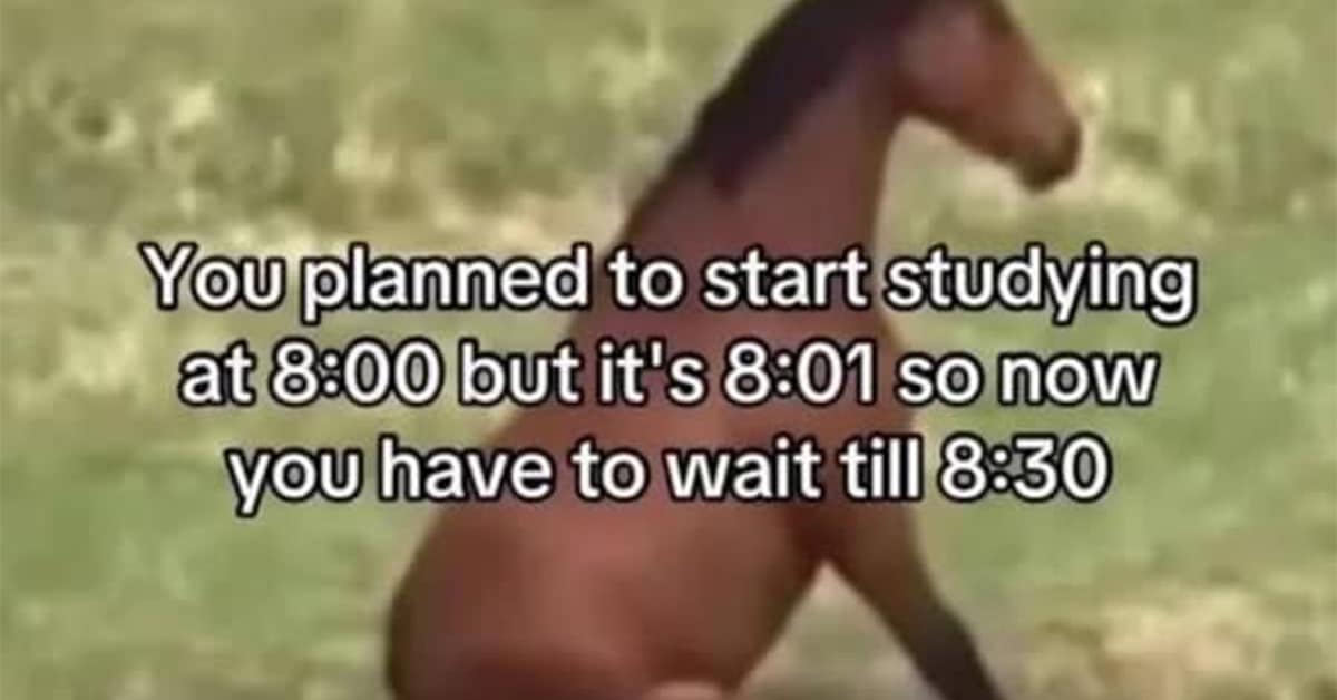 A collection of the most relatable ADHD meme content trending this Tuesday.