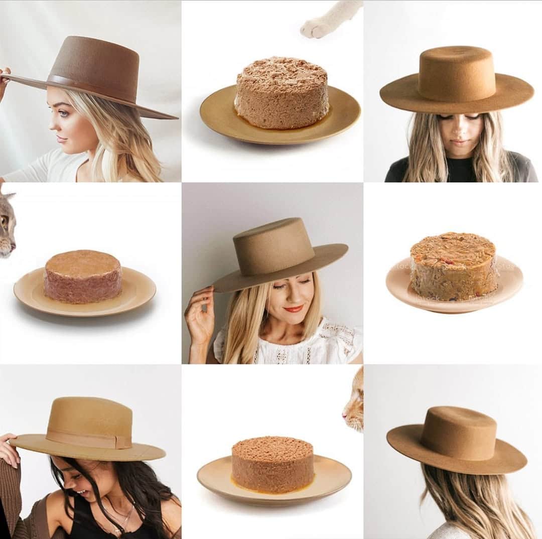 Women wearing wide-brim boater hats compared to cans of wet cat food pâté in a lookalike meme.