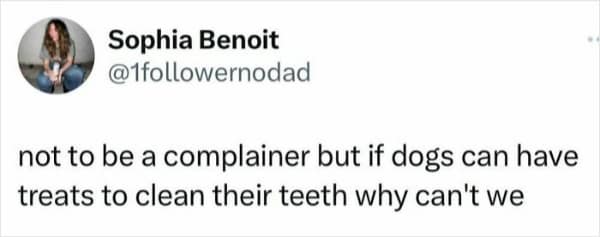 Animal meme questioning why humans can't have teeth cleaning treats like dogs