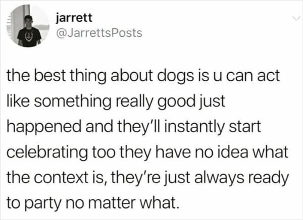 Animal meme claiming dogs are always ready to party without context