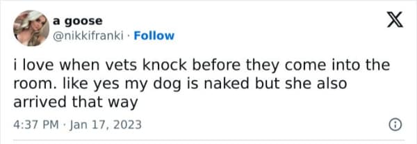 Animal meme joking about vets knocking before entering to see a naked dog