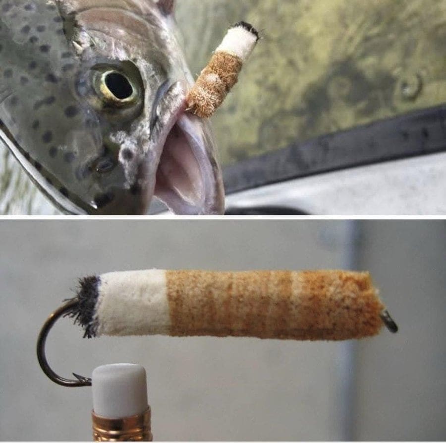 Trout caught with a realistic fishing lure shaped like a used cigarette butt.
