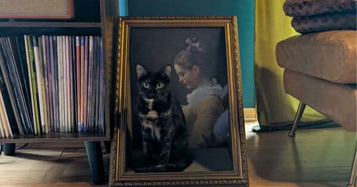 A gallery of amazing camouflaged cat photos where felines master the art of blending in.