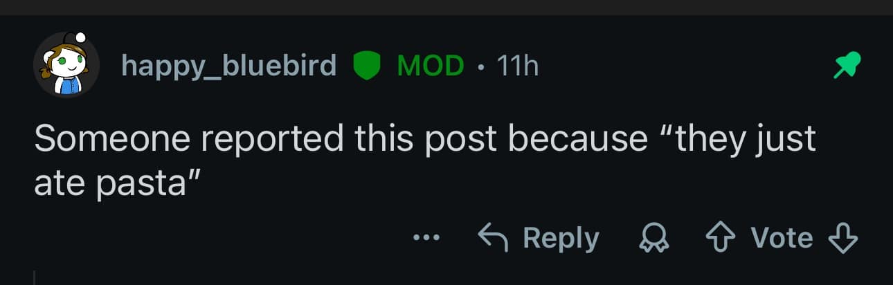 A classic meme from a Reddit mod comment, showing a post was reported because "they just ate pasta."