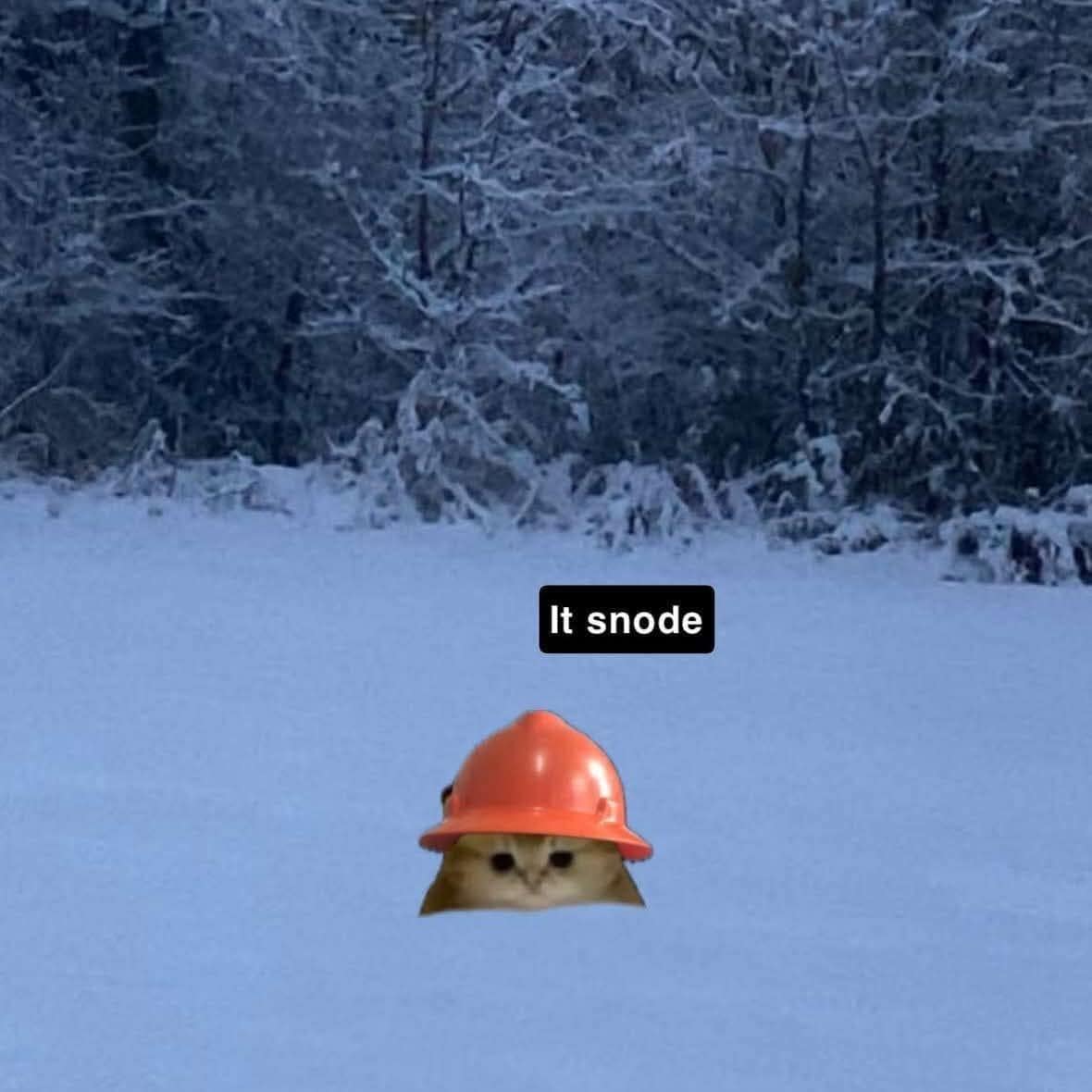 Wholesome classic meme of a cat in a hard hat saying "it snode."