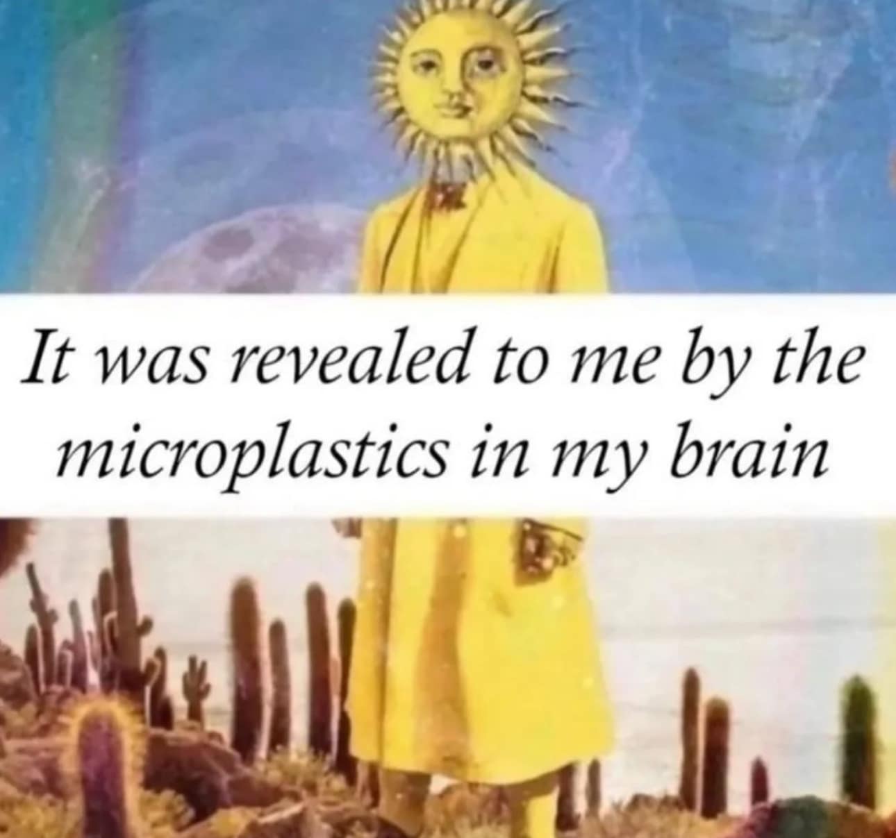 A classic meme of a sun-headed figure, captioned "It was revealed to me by the microplastics in my brain."