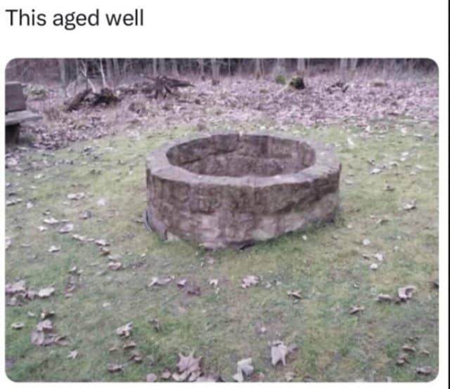 Classic meme visual pun showing a stone well that has aged well