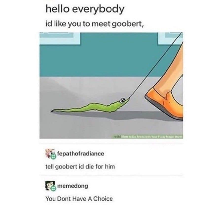 A classic meme from Tumblr about "Goobert" the worm on a string, with a cursed reply "You Dont Have A Choice."