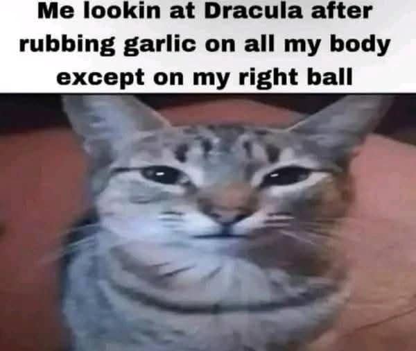 Classic meme of a cat staring confidently at Dracula with garlic protection