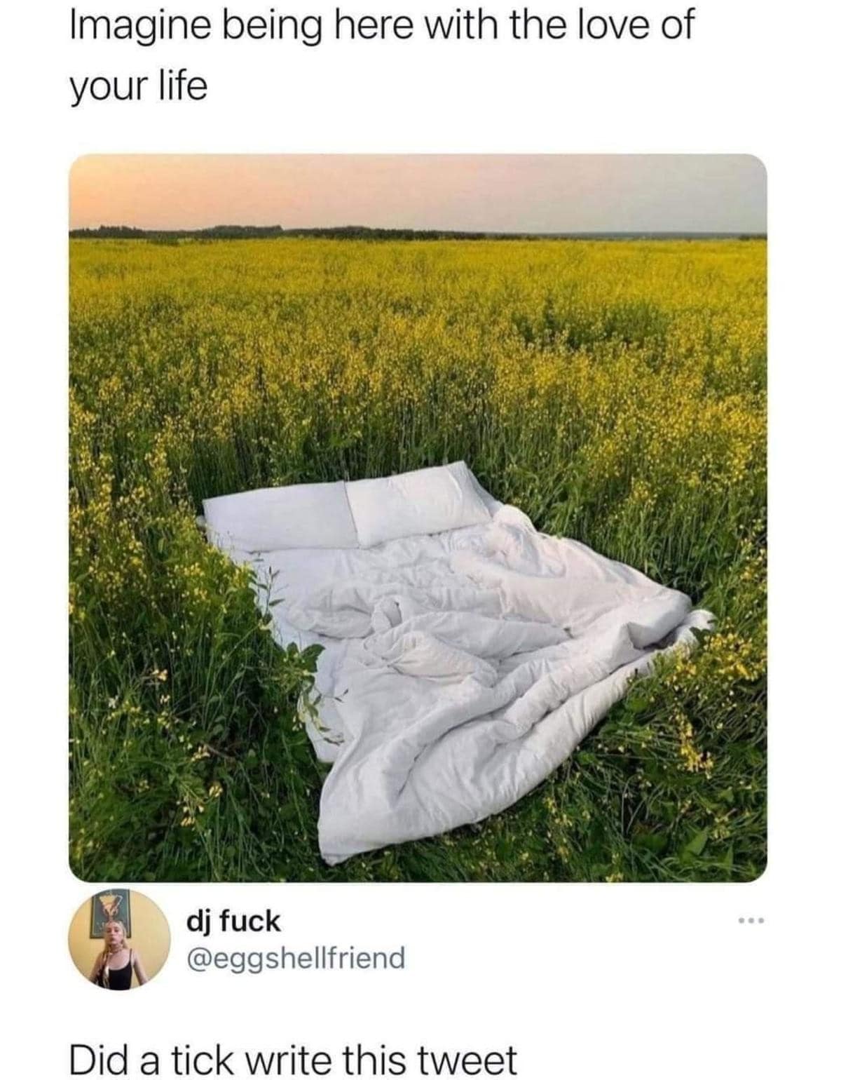 Classic meme featuring a mattress in a field being called a tick trap.