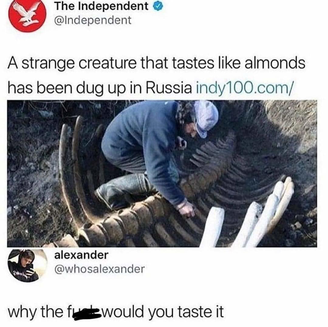 A classic meme of a man being attacked by his cat while he is trying to shower.