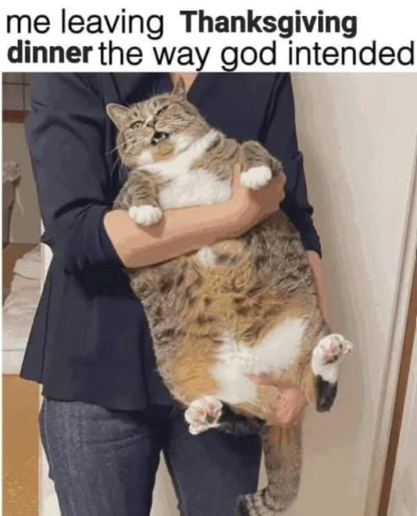 Classic meme showing a fat cat leaving Thanksgiving dinner satisfied.