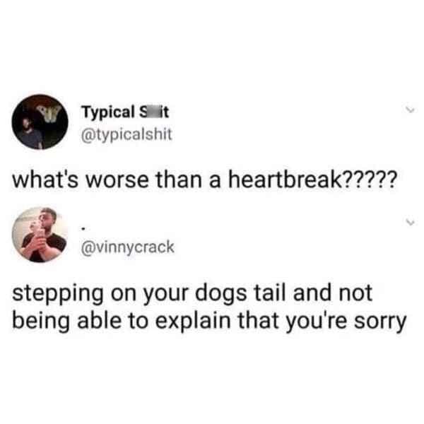 Classic meme asking if heartbreak is worse than stepping on a dog's tail.