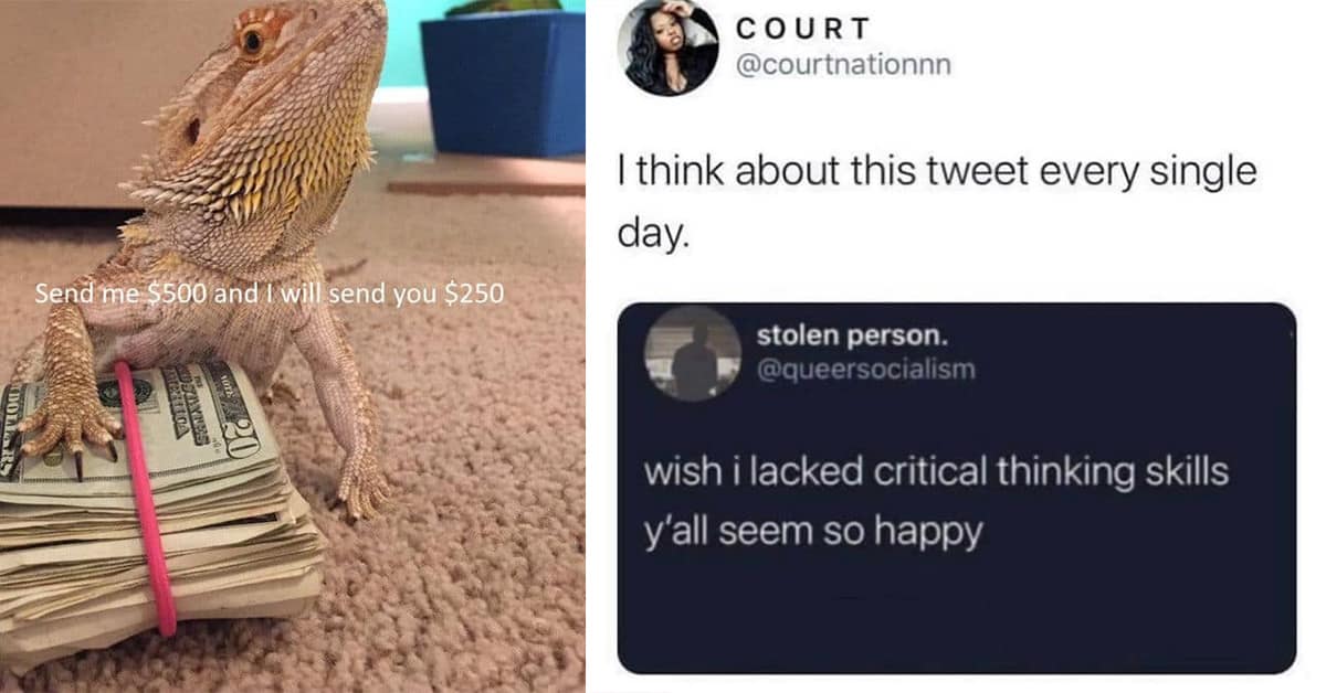 A gallery of hilarious classic memes, featuring viral tweets and funny old memes.