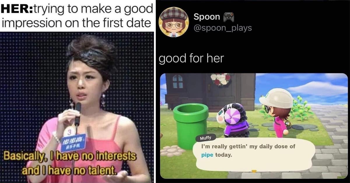 A gallery of the best classic memes, featuring viral tweets, old memes, and hilarious puns.