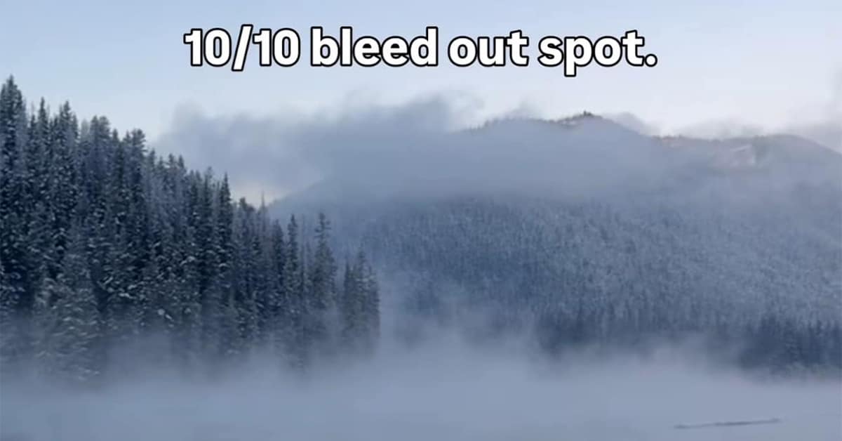 A gallery of classic memes, featuring vintage memes and old memes viral tweets for this Saturday.