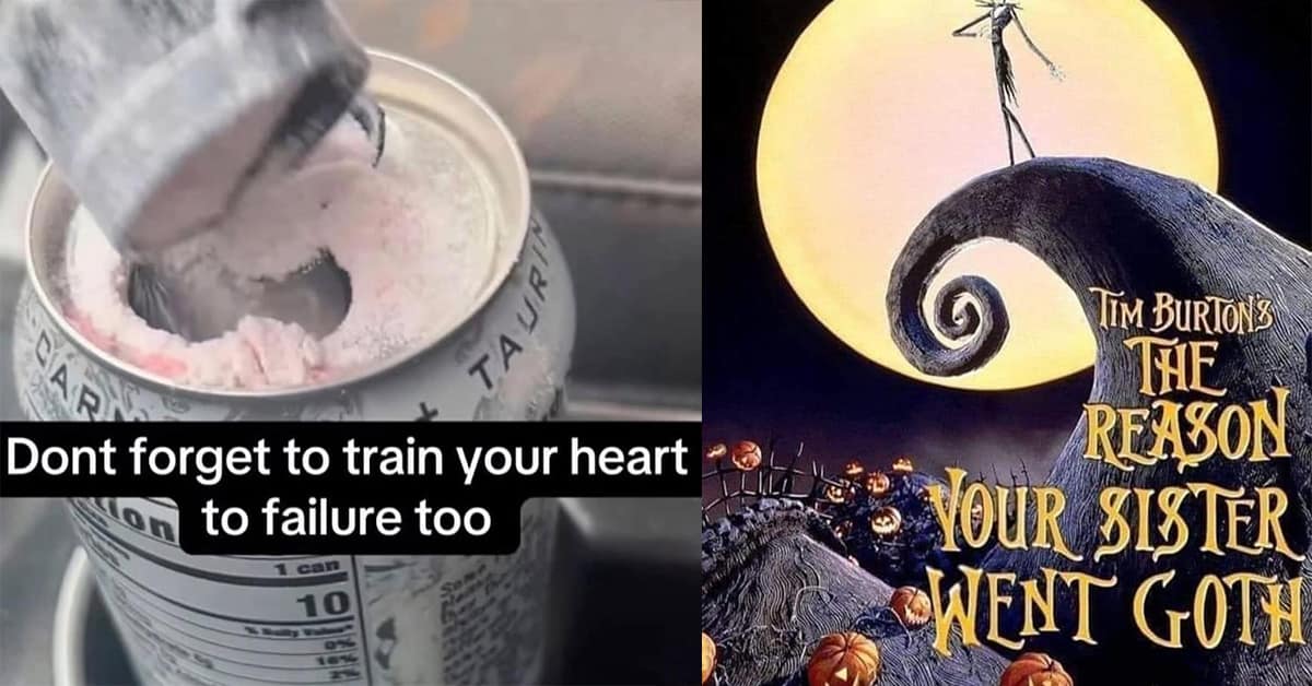 A collection of the best classic meme examples trending this week.