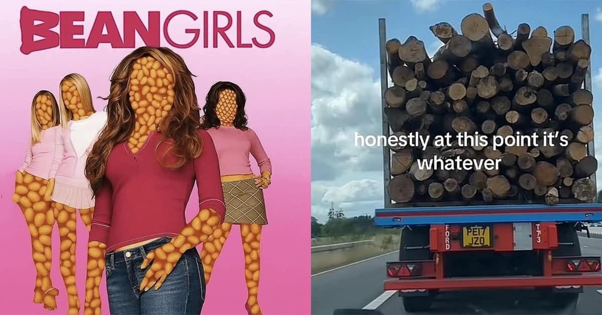 Compilation of every classic meme and viral tweet from the weekend dump.