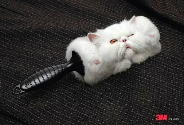 White Persian cat shaped like a lint roller in a 3M clever ad.