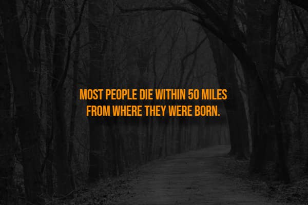 Dark spooky forest path with text stating most people die near their birthplace.