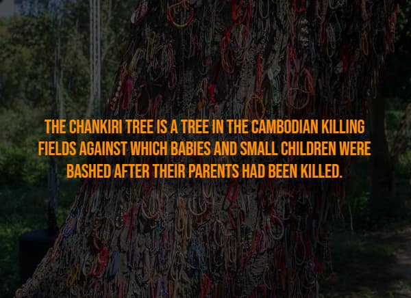 Chankiri tree in Cambodian Killing Fields covered in bracelets memorializing victims.