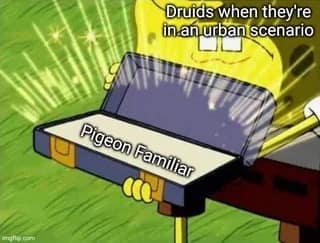 SpongeBob d&d meme showing a Druid using a pigeon in the city