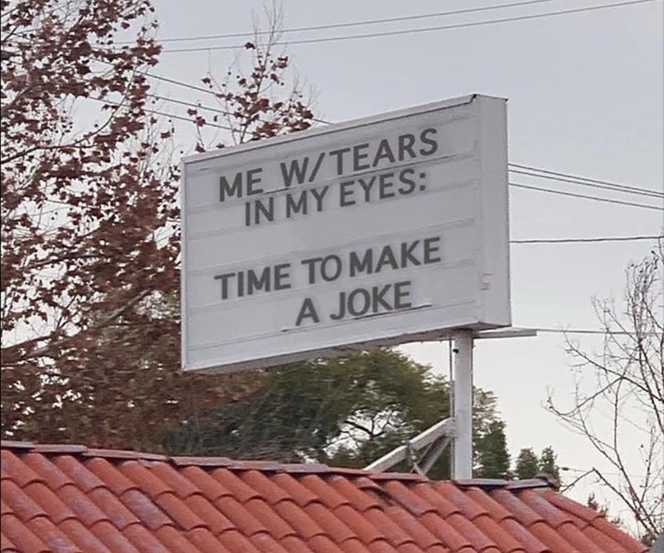 A depressing meme sign that says "ME W/ TEARS IN MY EYES: TIME TO MAKE A JOKE."