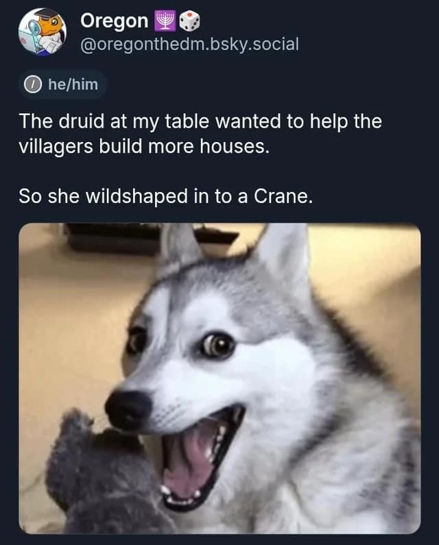 A funny d&d meme showing a druid who wildshaped into a "Crane" to help build houses.