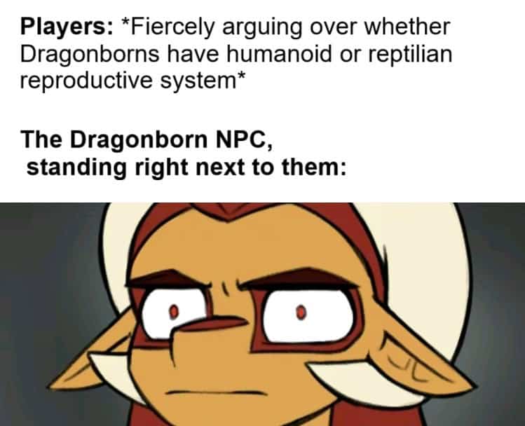 dnd meme with an annoyed Dragonborn NPC listening to players argue about their anatomy.