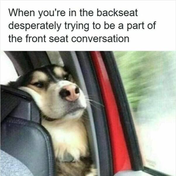 A relatable driving meme of a dog trying to join the "front seat conversation" from the back.