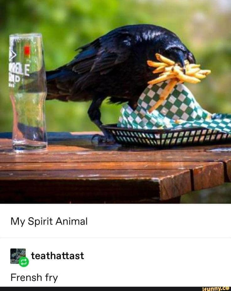 A funny bird meme of a crow stealing a beak-full of french fries, captioned "My Spirit Animal."