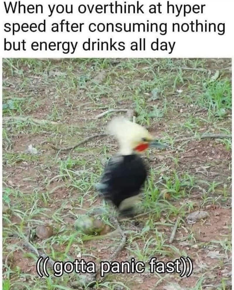 A funny bird meme of a blurry woodpecker, joking about "overthinking at hyper speed" and "gotta panic fast."