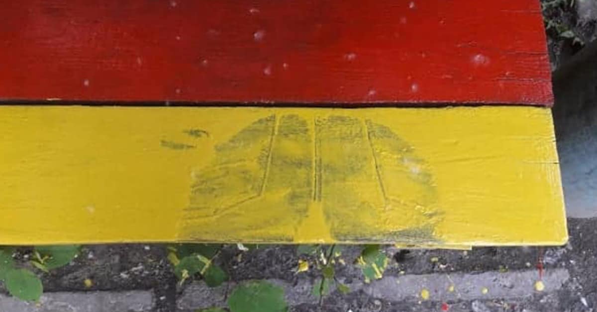 A funny fail gallery of the worst bad day photos ever, including cooking fails and work disasters.