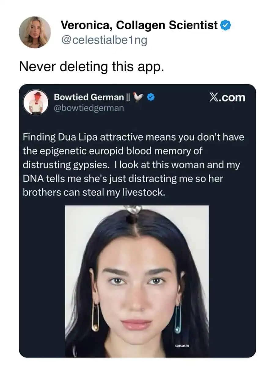 Bizarre tweet about Dua Lipa's attractiveness being a distraction for stealing livestock, screenshotted as a funny meme.