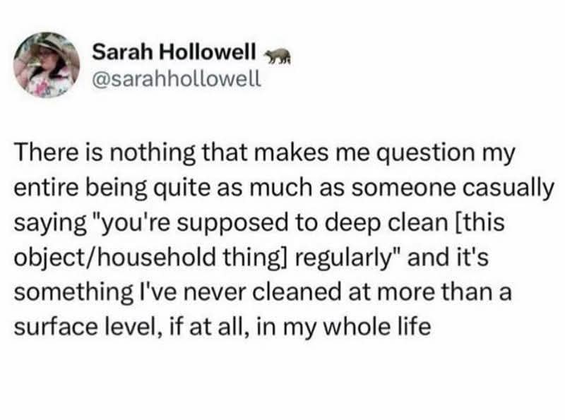 Funny, relatable tweet about the existential crisis of learning you're supposed to "deep clean" a household object.