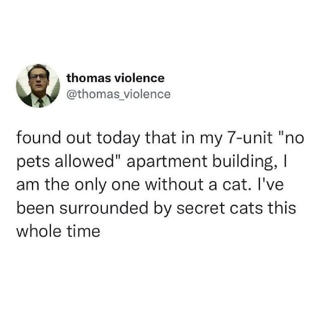 Funny tweet about a person discovering they are the only one without a "secret cat" in a "no pets" building.