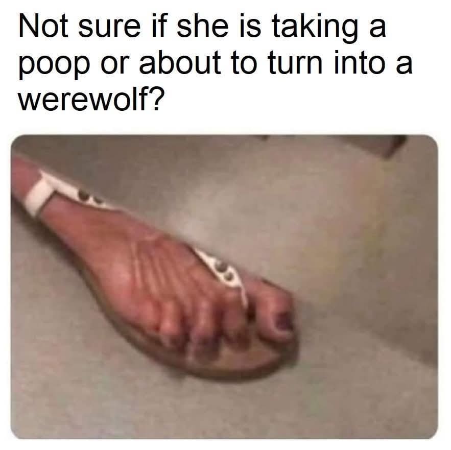 Funny meme showing a tensed, veiny foot in a sandal, captioned "taking a poop or... a werewolf?"