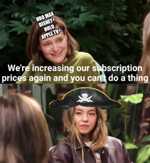 Sydney Sweeney wearing pirate hat reacting to streaming subscription price hikes funny memes.