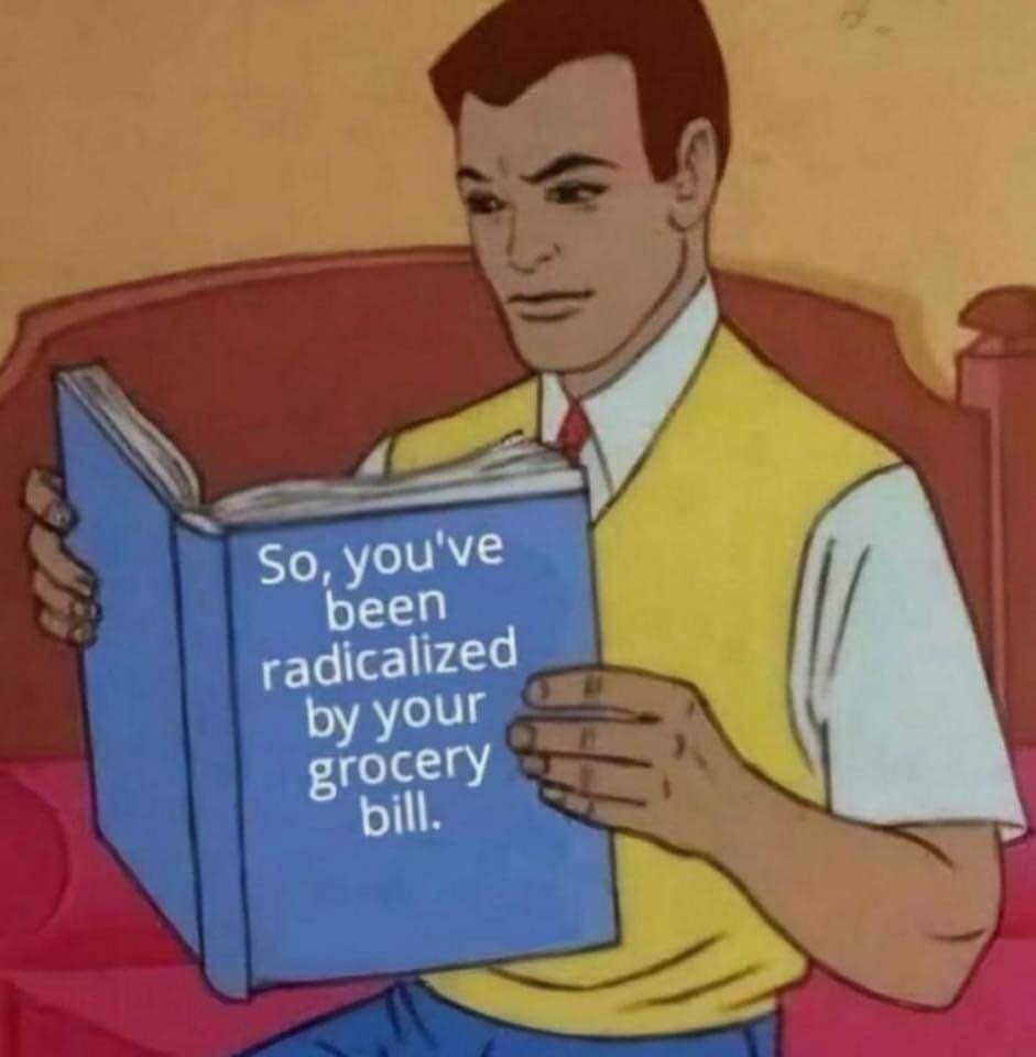 Funny reaction meme of a cartoon man reading a book titled, "So, you've been radicalized by your grocery bill."