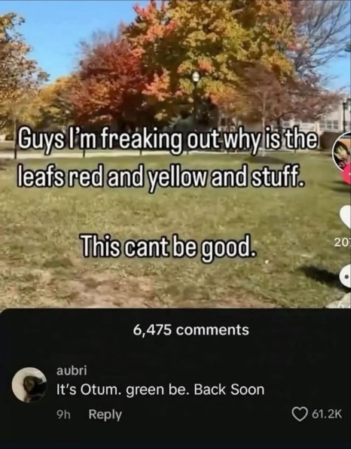 A funny meme about fall leaves with the comment "It's Otum. green be. Back Soon."