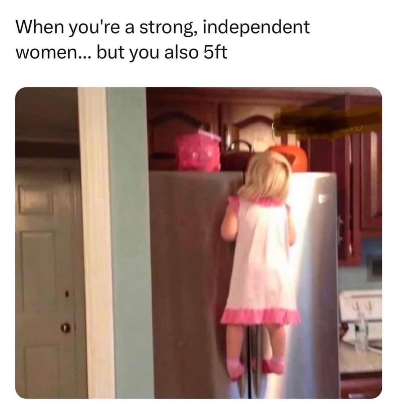 Funny meme for short, independent women, showing a little girl climbing a tall refrigerator.