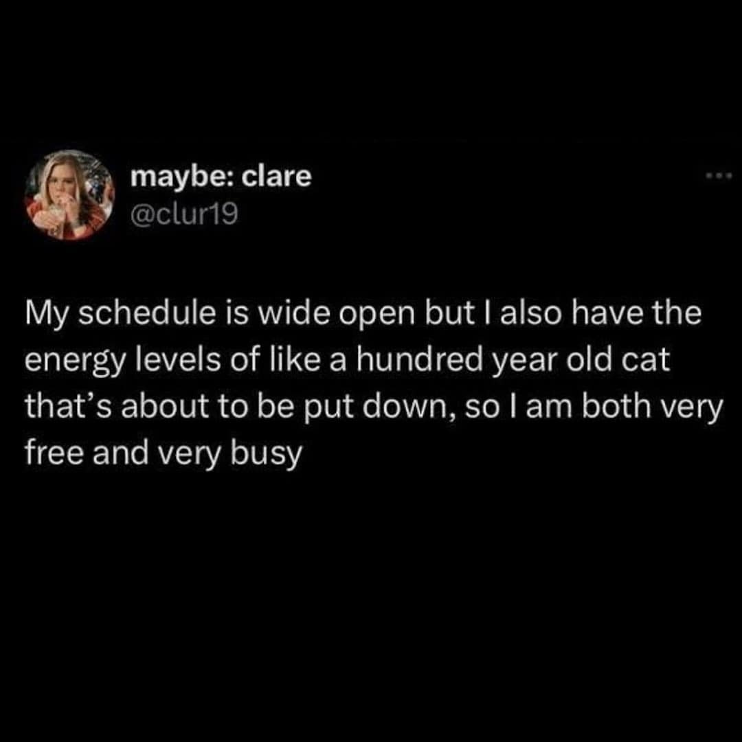 Funny tweet comparing being "very free and very busy" to a "hundred year old cat that's about to be put down."