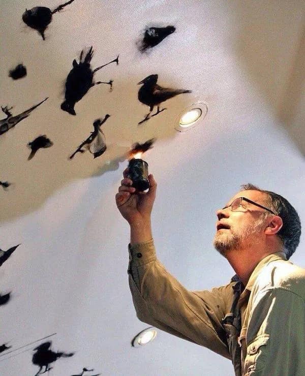 A man using smoke art from a candle to draw silhouettes of birds on a white ceiling.