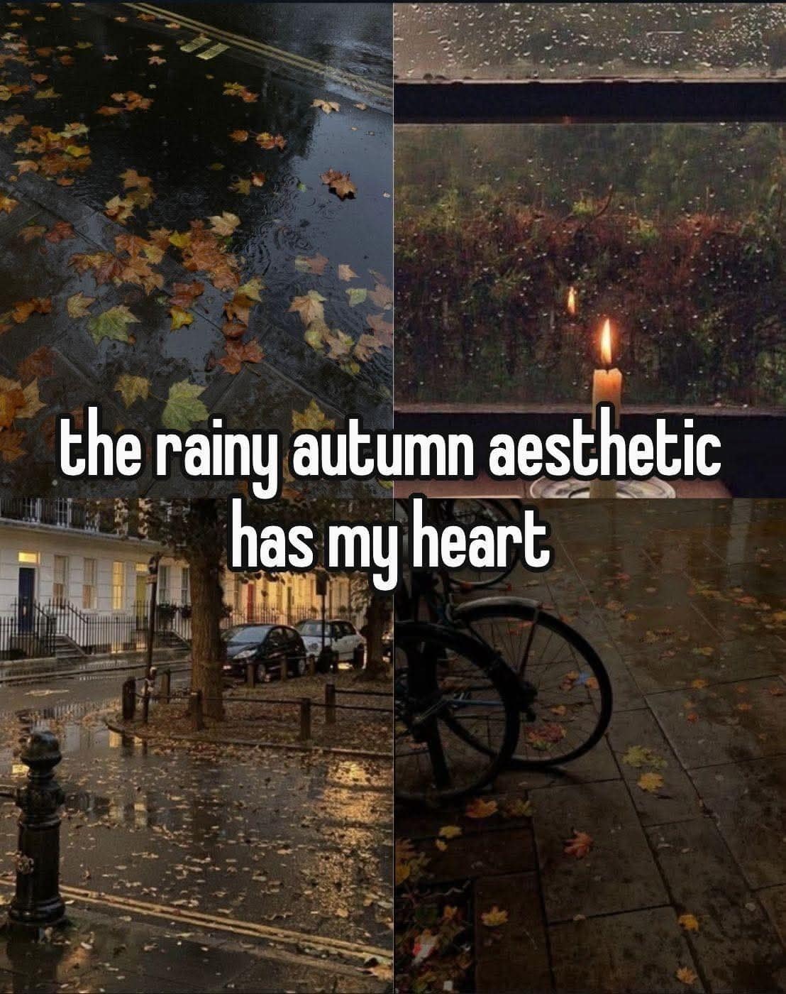 A four-panel aesthetic image of rainy streets, autumn leaves, and a candle with text "the rainy autumn aesthetic has my heart."