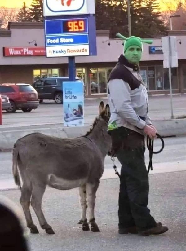 Man dressed as Shrek standing next to real donkey at gas station funny pics.