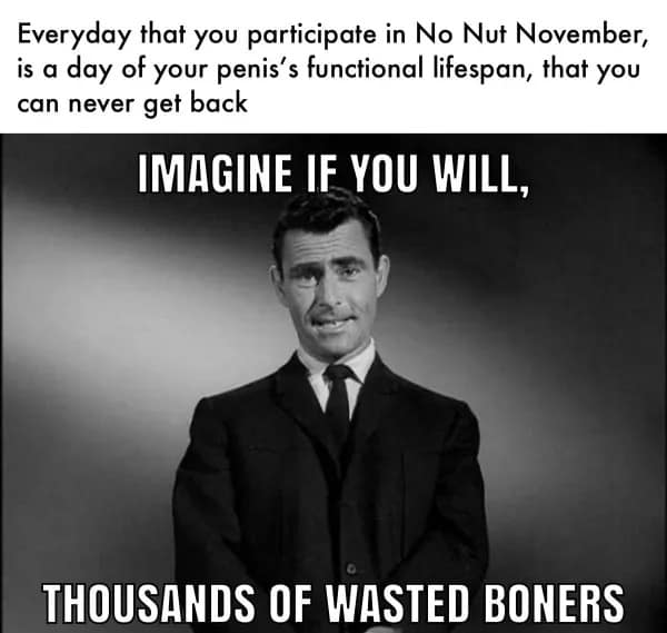 Rod Serling Twilight Zone meme joking about wasted erections during No Nut November.