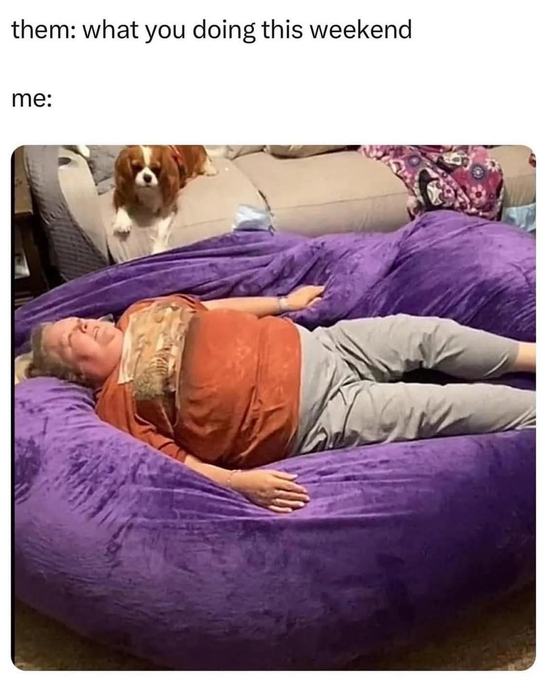 Funny weekend plans meme showing a person passed out on a giant purple beanbag chair.