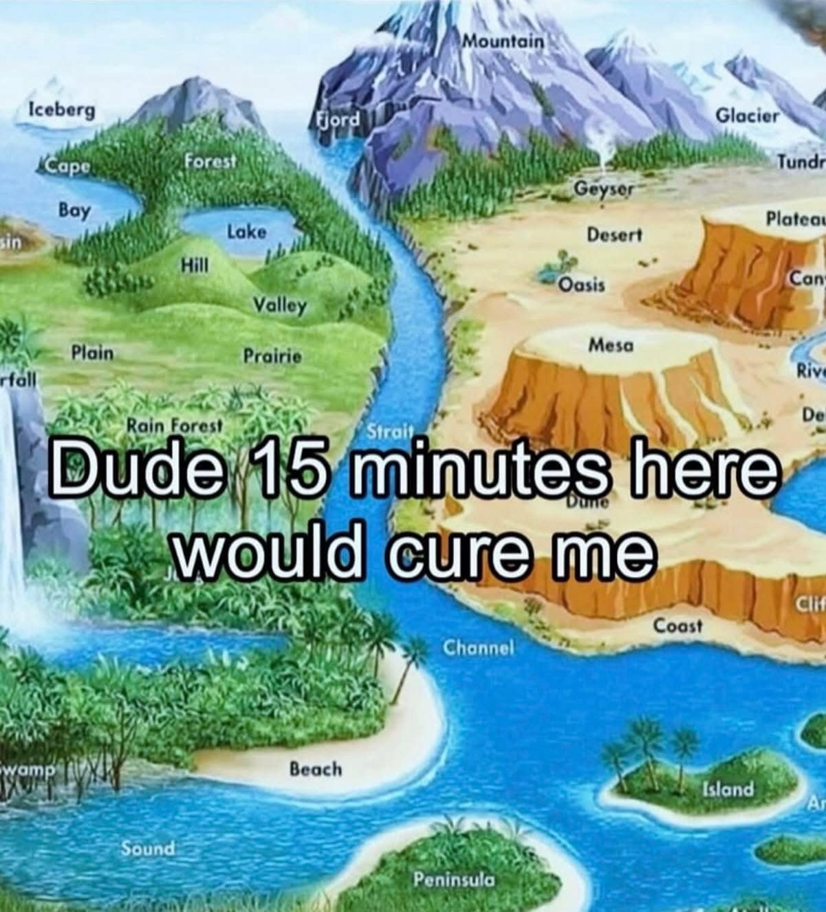 A funny meme of a geography diagram with all biomes, captioned "Dude 15 minutes here would cure me."